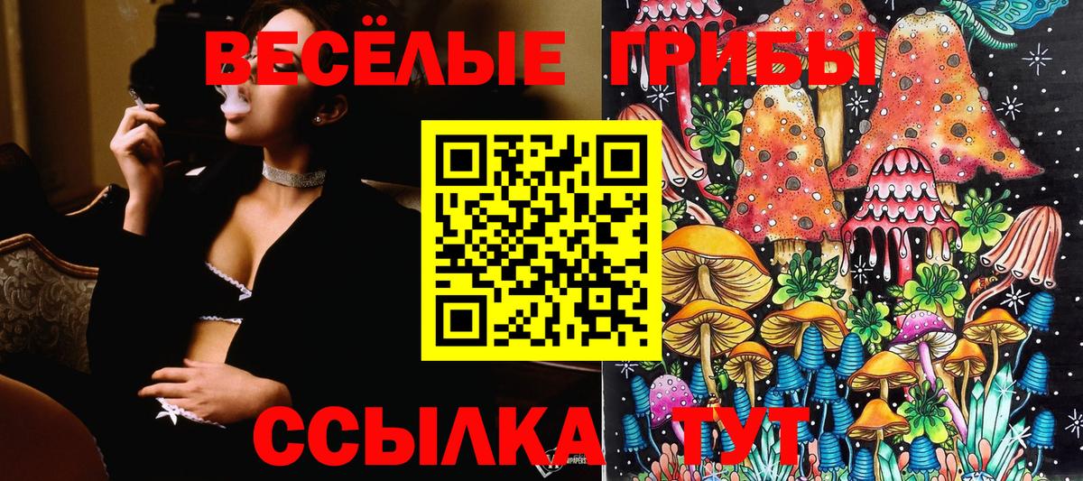 A PVP СК   Гашиш  Экстази  Cocaine  Вход с VPN  Меф МЯУ МЯУ кристаллы  Гашиш  Павлово  МАРИХУАНА 