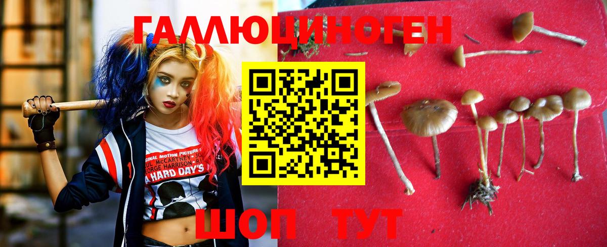 Галлюциногенные грибы прущие грибы Павлово