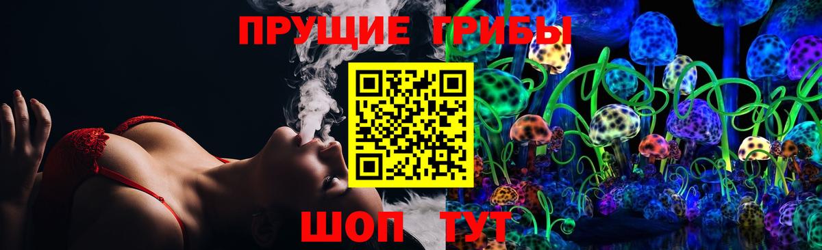 Галлюциногенные грибы Psilocybe  Вход с VPN  Павлово 